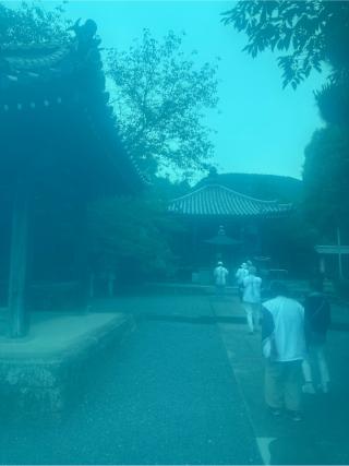 曼荼羅寺(四国第七十ニ番)の参拝記録(桃太郎さん)