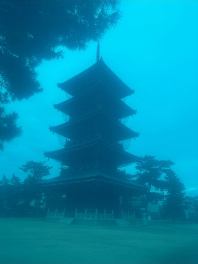 屏風浦五岳山 誕生院 善通寺(四国第七十五番)の参拝記録10