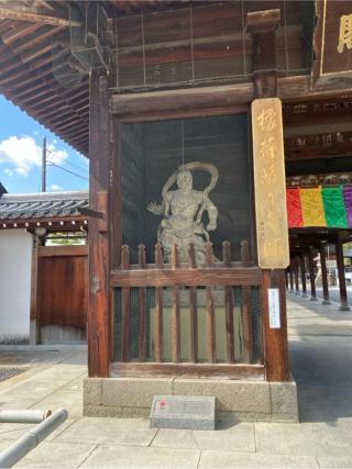 屏風浦五岳山 誕生院 善通寺(四国第七十五番)の参拝記録(りんさん)