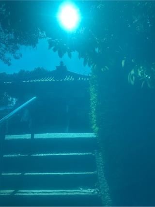 延命寺(四国第五十四番)の参拝記録(桃太郎さん)