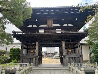 別宮山 光明寺 金剛院 南光坊(四国第五十五番)の参拝記録(けんけんさん)