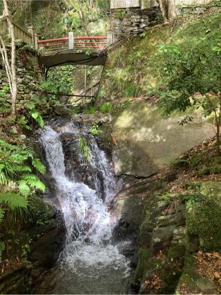 仙龍寺の参拝記録(りんさん)