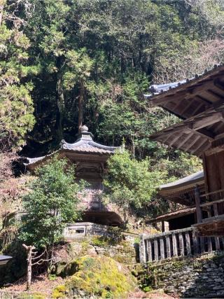仙龍寺の参拝記録(りんさん)