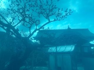 八坂寺(四国第四十七番)の参拝記録(桃太郎さん)