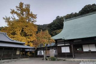 瑞応寺の参拝記録(翠さん)
