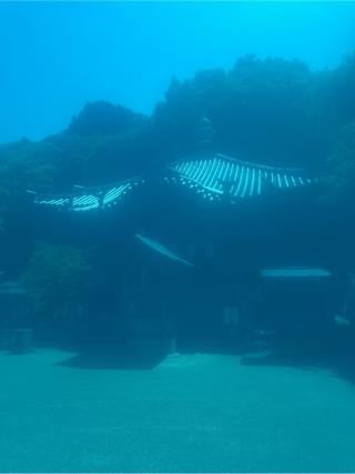 前神寺(四国第六十四番)の参拝記録(桃太郎さん)