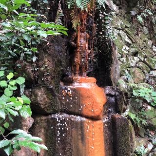 前神寺(四国第六十四番)の参拝記録(ワヲンさん)
