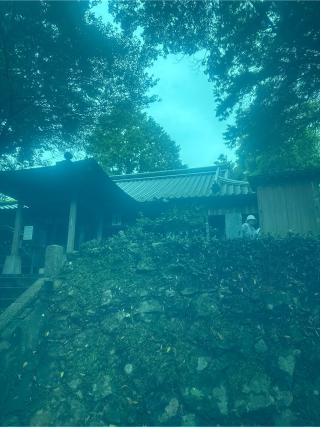 金剛頂寺(四国第二十六番)の参拝記録(桃太郎さん)