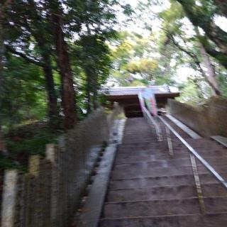 金剛頂寺(四国第二十六番)の参拝記録(くるみかなさん)