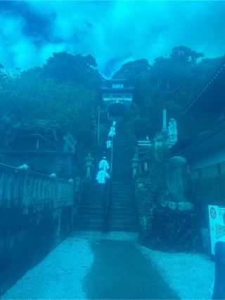 津照寺(四国第二十五番)の参拝記録(桃太郎さん)