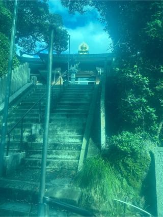 津照寺(四国第二十五番)の参拝記録(桃太郎さん)