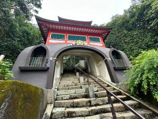 津照寺(四国第二十五番)の参拝記録(けんじさん)