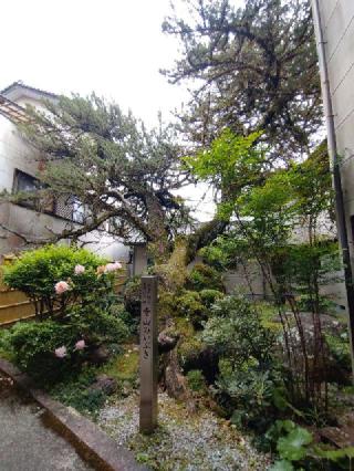 延光寺(四国第三十九番)の参拝記録(オカモトさん)