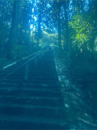 青龍寺(四国第三十六番)の参拝記録(桃太郎さん)