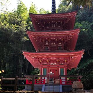 青龍寺(四国第三十六番)の参拝記録(ワヲンさん)