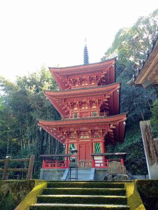 青龍寺(四国第三十六番)の参拝記録(あやちきさん)