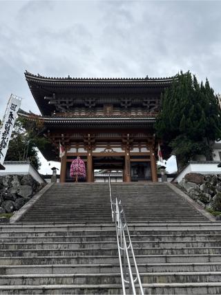 鎮西身延山本佛寺の参拝記録(nobさん)