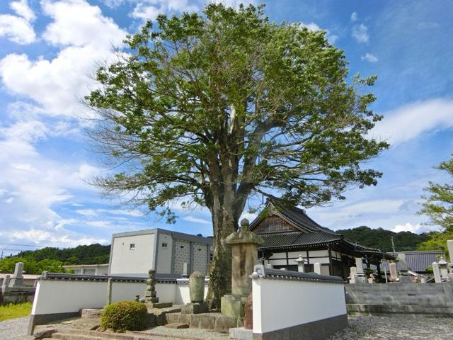 福岡県嘉麻市大隈町下益1023 麟翁寺の写真3
