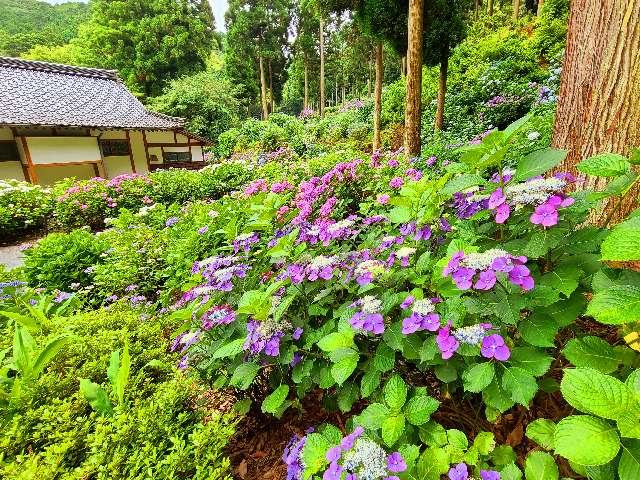 千光寺の参拝記録4