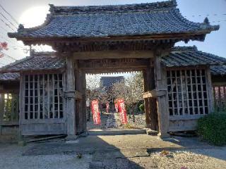 石垣山　観音寺の参拝記録(風祭すぅさん)