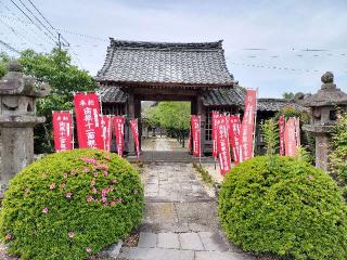 石垣山　観音寺の参拝記録(nonoさん)