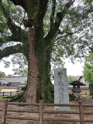 善導寺の参拝記録(さとみさん)