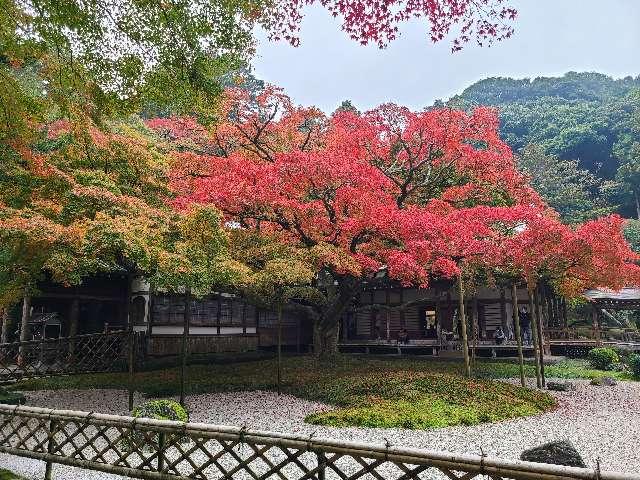 福岡県糸島市雷山626 千如寺大悲王院の写真5