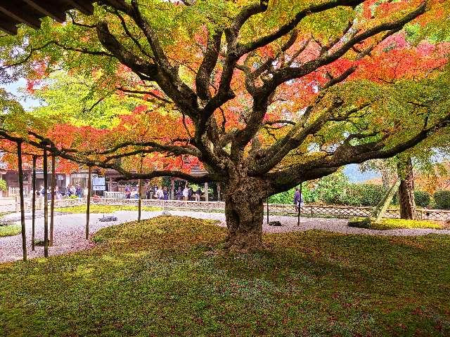 千如寺大悲王院の参拝記録3