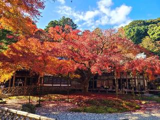 千如寺大悲王院の参拝記録(風祭すぅさん)