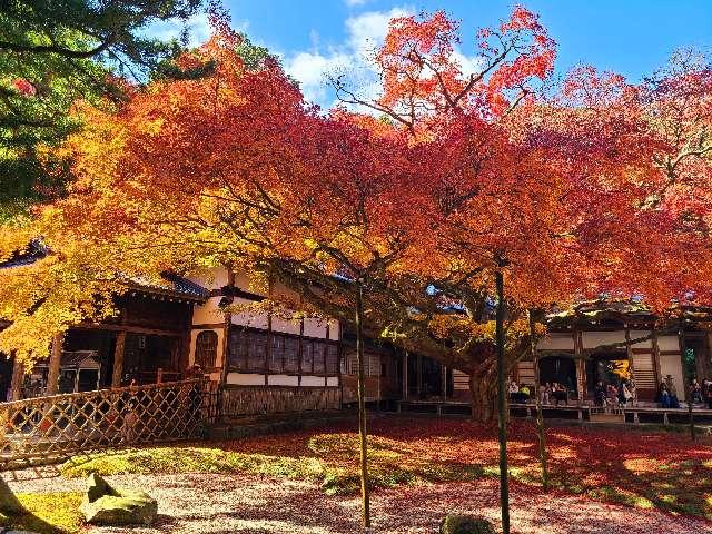 福岡県糸島市雷山626 千如寺大悲王院の写真10