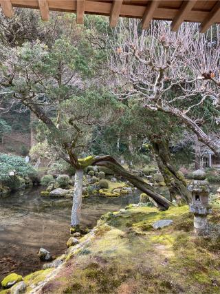 千如寺大悲王院の参拝記録(みほさん)