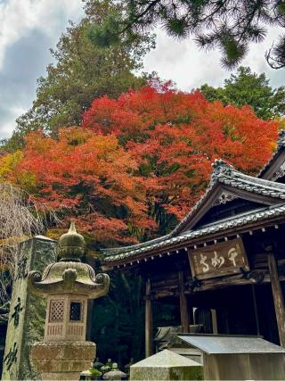 千如寺大悲王院の参拝記録(みほさん)