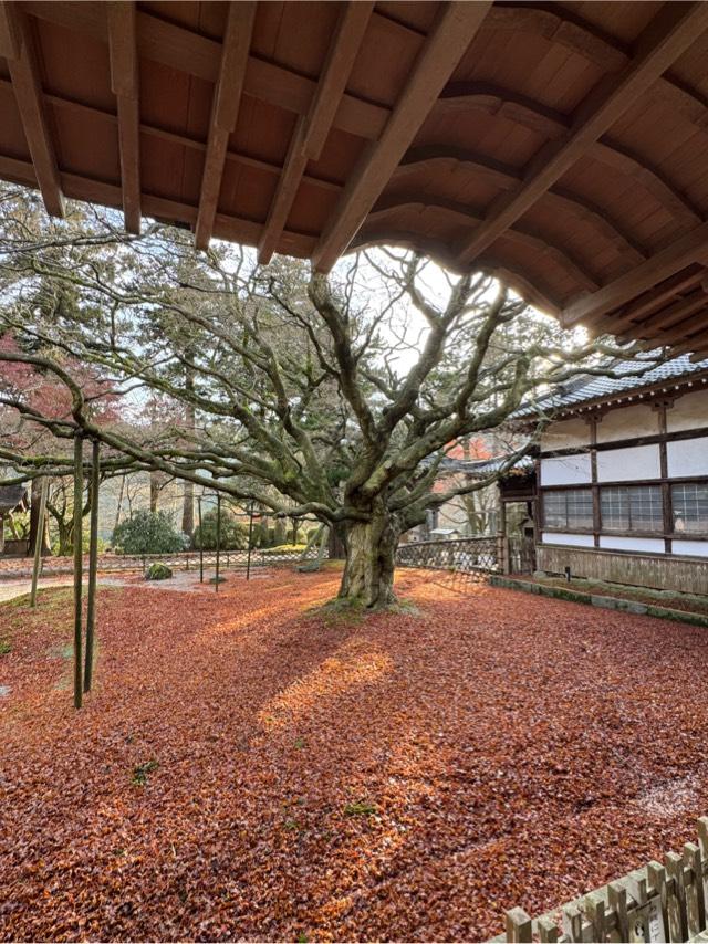 千如寺大悲王院の参拝記録3