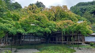千如寺大悲王院の参拝記録(るびーさん)