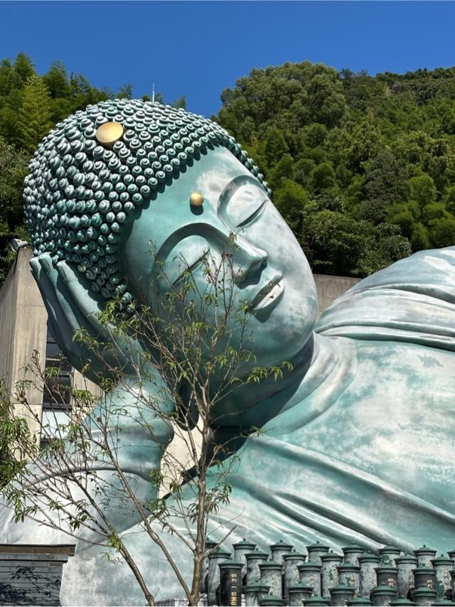 南蔵院の参拝記録8