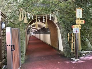 南蔵院の参拝記録(からしさん)