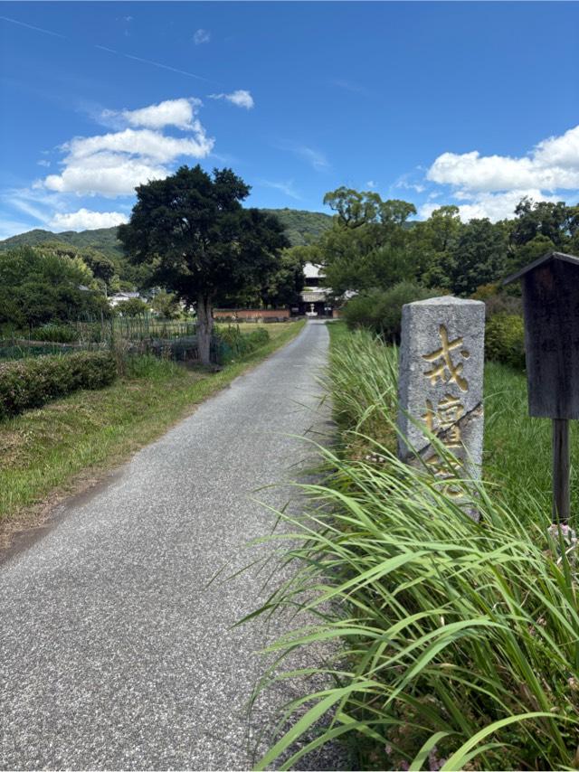 戒壇院の参拝記録4
