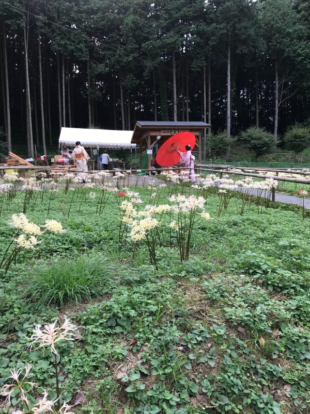 不老山 正光寺の参拝記録2
