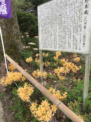 不老山 正光寺の参拝記録(すず猫さん)