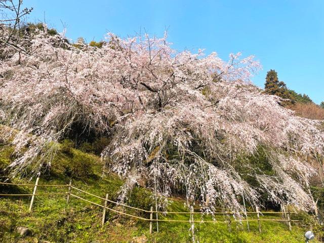 福岡県築上郡築上町本庄361 天徳寺の写真2