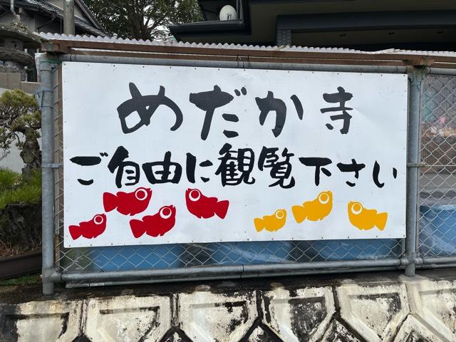 めだか寺観音寺の参拝記録6