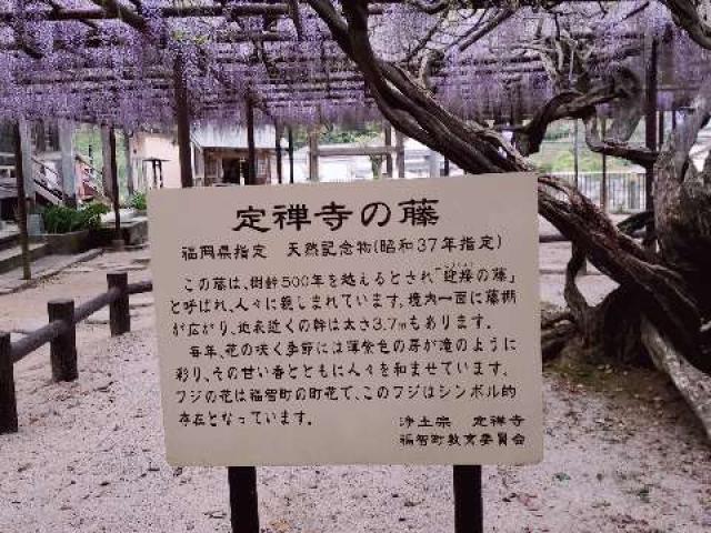 定禅寺の参拝記録1