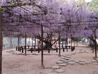 定禅寺の参拝記録(風祭すぅさん)