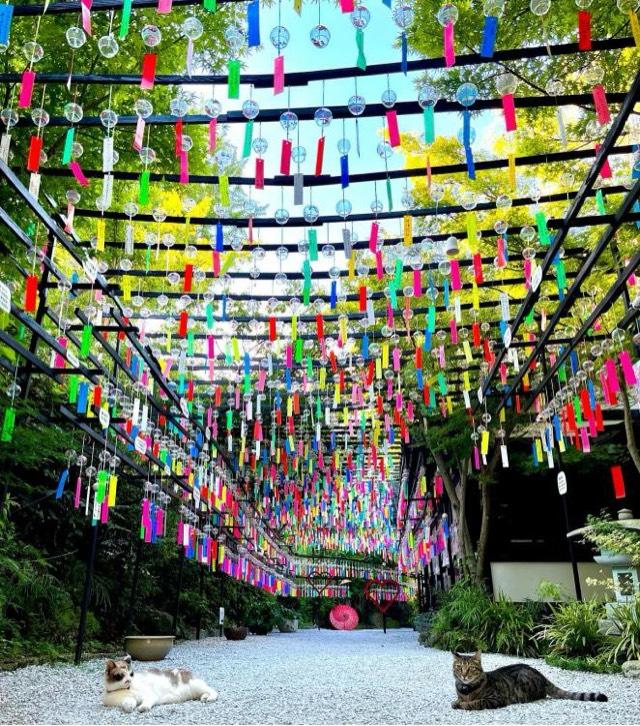 福岡県田川市三井伊田2-16 平等寺(三井寺)の写真3