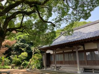 興徳寺の参拝記録(おにぎりさん)