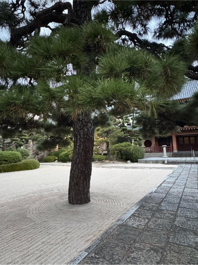 千眼寺の参拝記録4