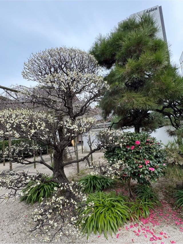 千眼寺の参拝記録3