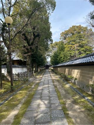 安国山 聖福寺の参拝記録(koさん)