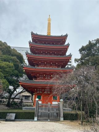 南岳山 東長寺の参拝記録(koさん)