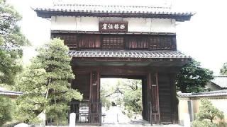 崇福寺の参拝記録(ポン太さん)